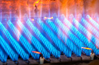 Childwick Bury gas fired boilers